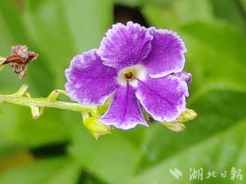 e8平台登录地址